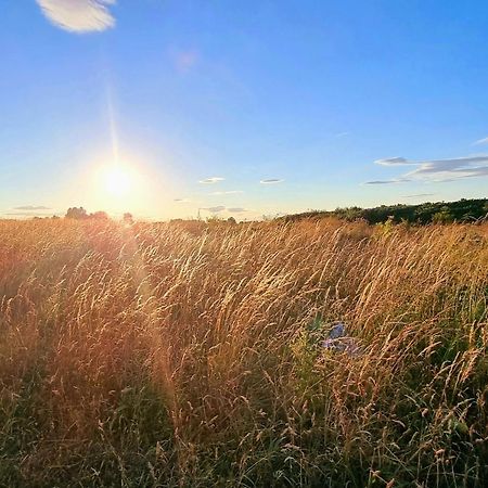 Echo Beach Файли Екстериор снимка